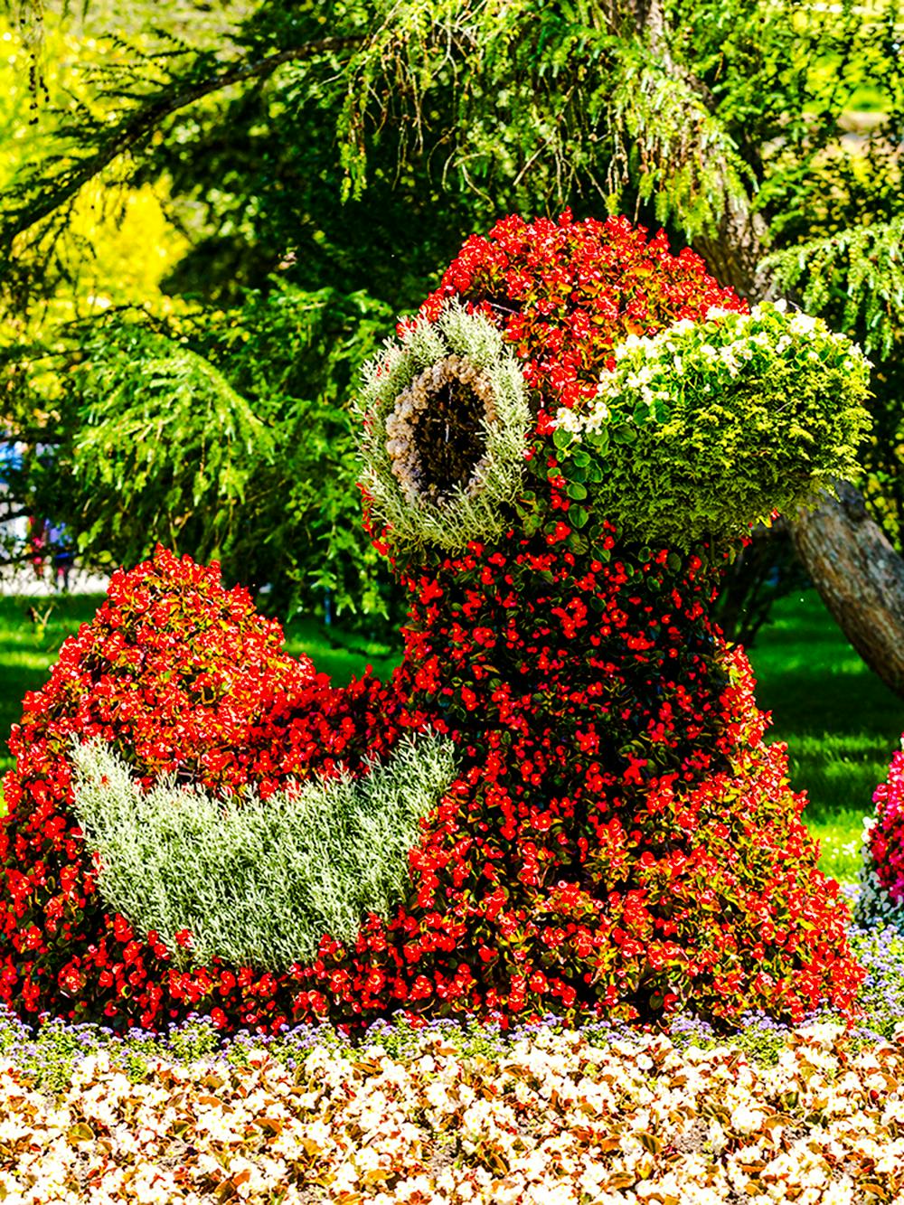 Isola di Mainau sul lago di Costanza